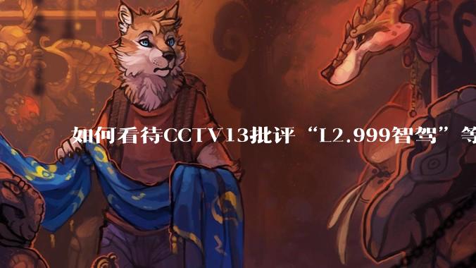 如何看待CCTV13批评“L2.999智驾”等误导性宣传，若导致事故车企可能需要担责？