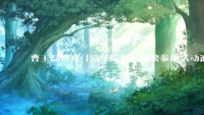 曹玉磊冒充「清华院长」频繁参加活动遭官方打***，他为何能堂而皇之以***身份开展活动？其将受到哪些处罚？