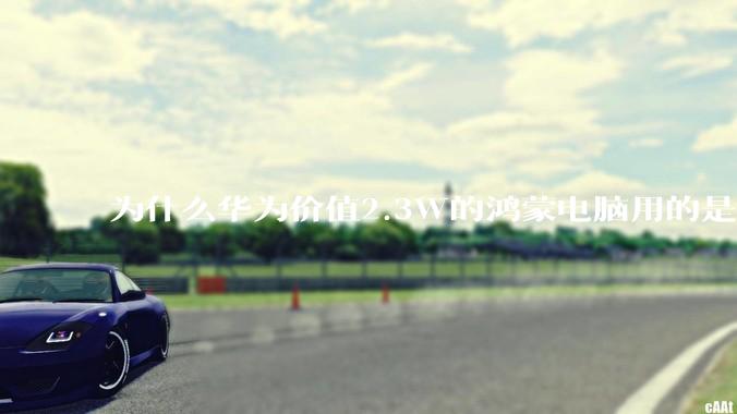 为什么华为价值2.3W的鸿蒙电脑用的是美国西数的SN740固态硬盘？