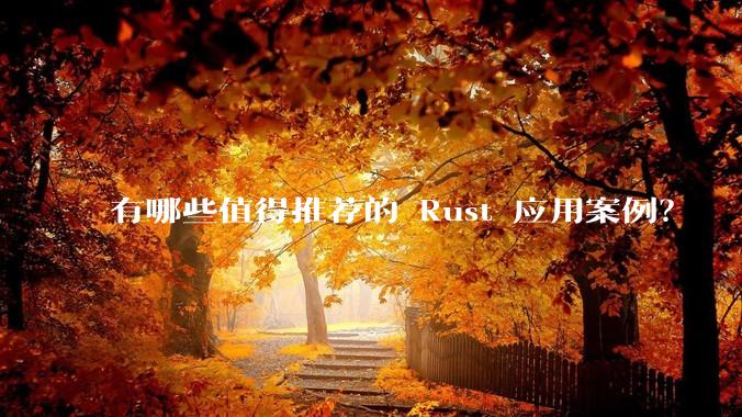 有哪些值得推荐的 Rust 应用案例？