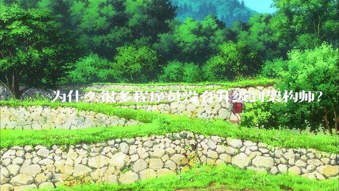 为什么很多程序员没有升级到架构师？