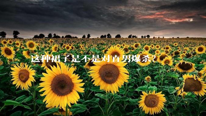 这种裙子是不是对直男爆杀？