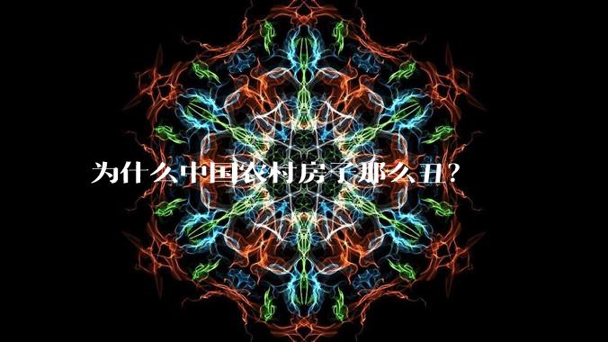 为什么中国农村房子那么丑？