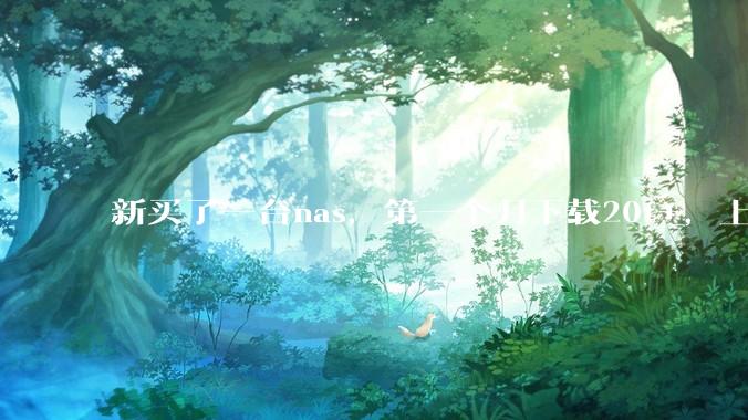 新买了一台nas，第一个月下载20t+，上传5+，不会被网警盯上吧?