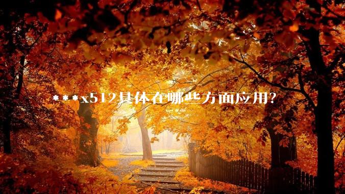 ***x512具体在哪些方面应用？