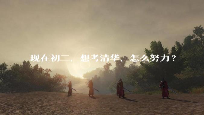 现在初二，想考清华，怎么努力?