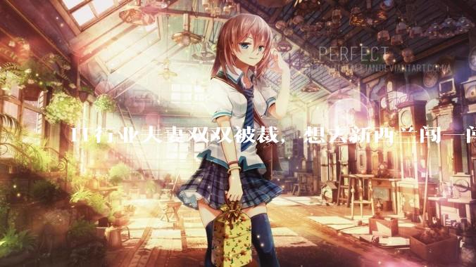 IT行业夫妻双双被裁，想去新西兰闯一闯可以吗？