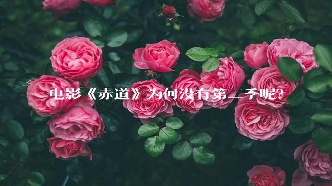 电影《赤道》为何没有第二季呢？