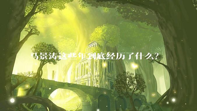 马景涛这些年到底经历了什么？