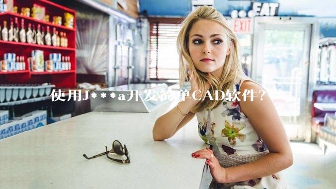 使用J***a开发简单CAD软件？