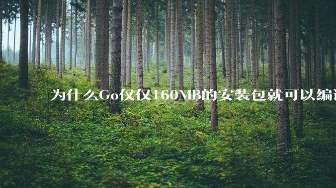 为什么Go仅仅160MB的安装包就可以编译程序，而Rust却还需要几个GB的VC++才能编译？