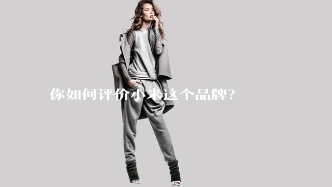 你如何评价小米这个品牌？