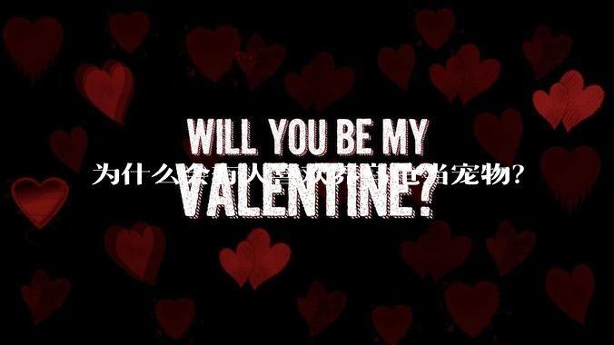 为什么会有人喜欢养乌龟当宠物？