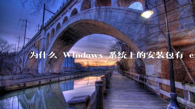 为什么 Windows 系统上的安装包有 exe 和 msi 两种格式，有什么区别？